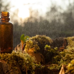 Brązowa szklana buteleczka stoi na mchu obok młodej roślinki